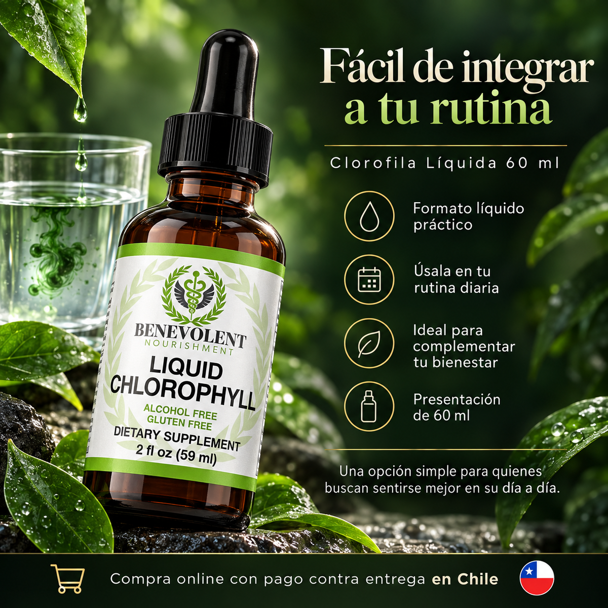 Liquid Chlorophyll™ Un toque verde para tu rutina diaria