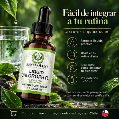 Liquid Chlorophyll™ Un toque verde para tu rutina diaria